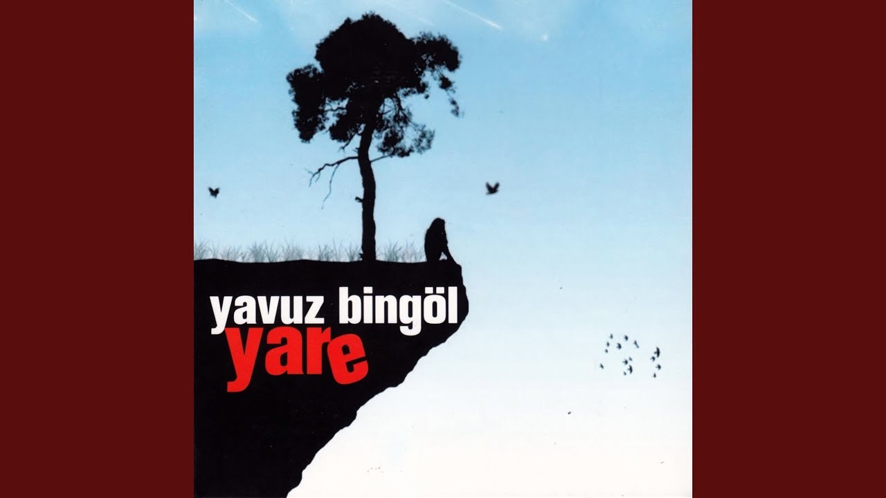 Yeşil Başlı Gövel Ördek