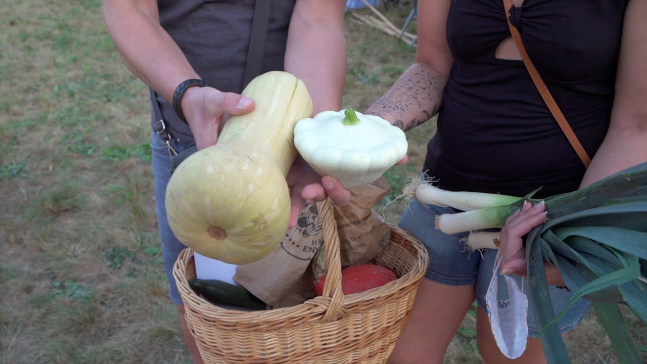 Marchés des producteurs locaux