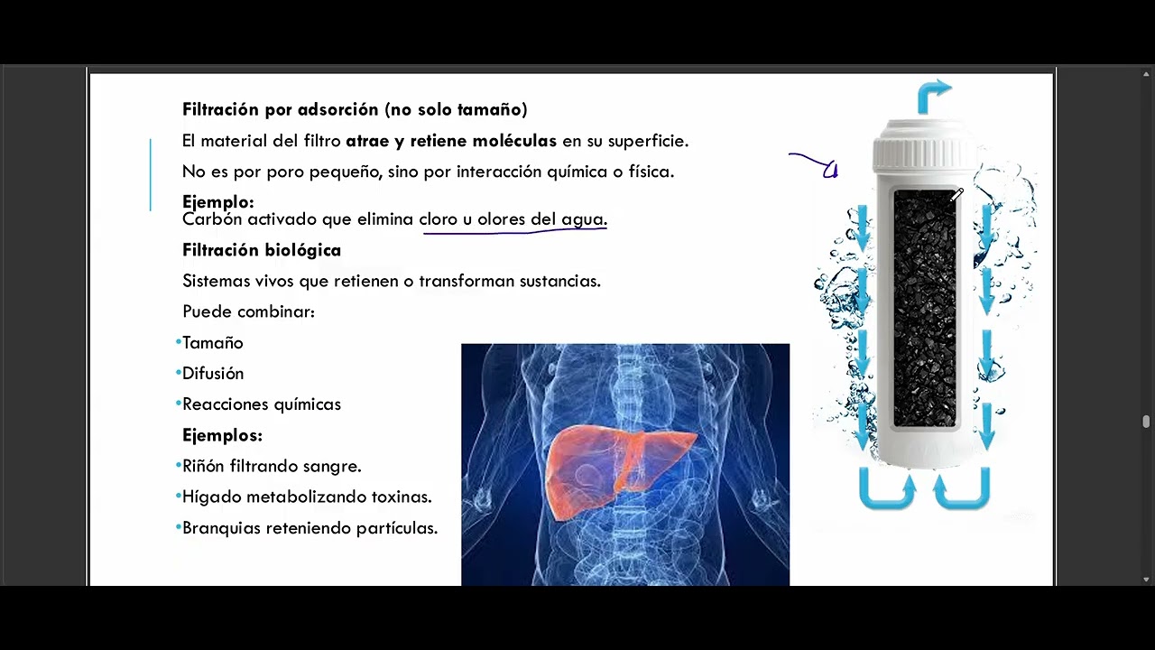 COMO PASAR TU EXAMEN DE ADMISION - EXANI 1 - SIMULADOR - PREGUNTA 18