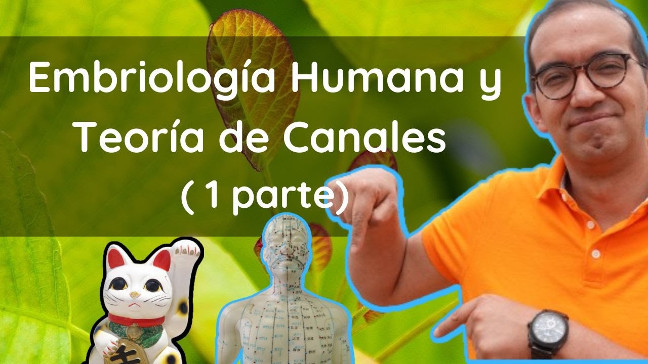 Embriolog&iacute;a y Teor&iacute;a de Canales en Medicina China (Jing Luo) : Parte 1