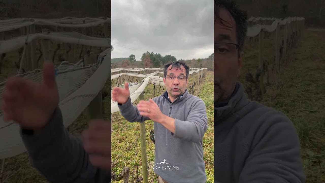 Rencontre avec Christophe du Domaine du Grangeon, vignoble ardèchois (partie 3).