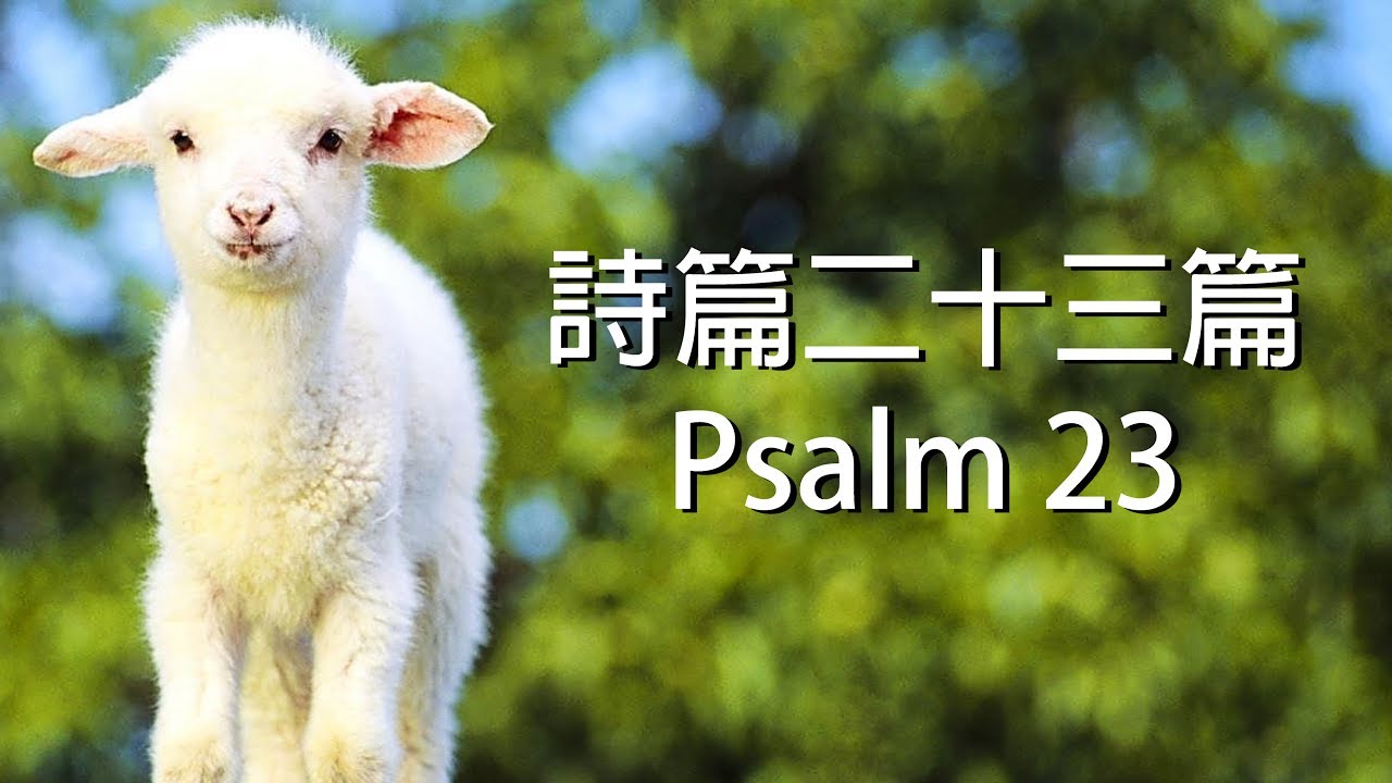 詩篇二十三篇 Psalm 23（ 含祷告旁白 國語詩歌 我心旋律授權）