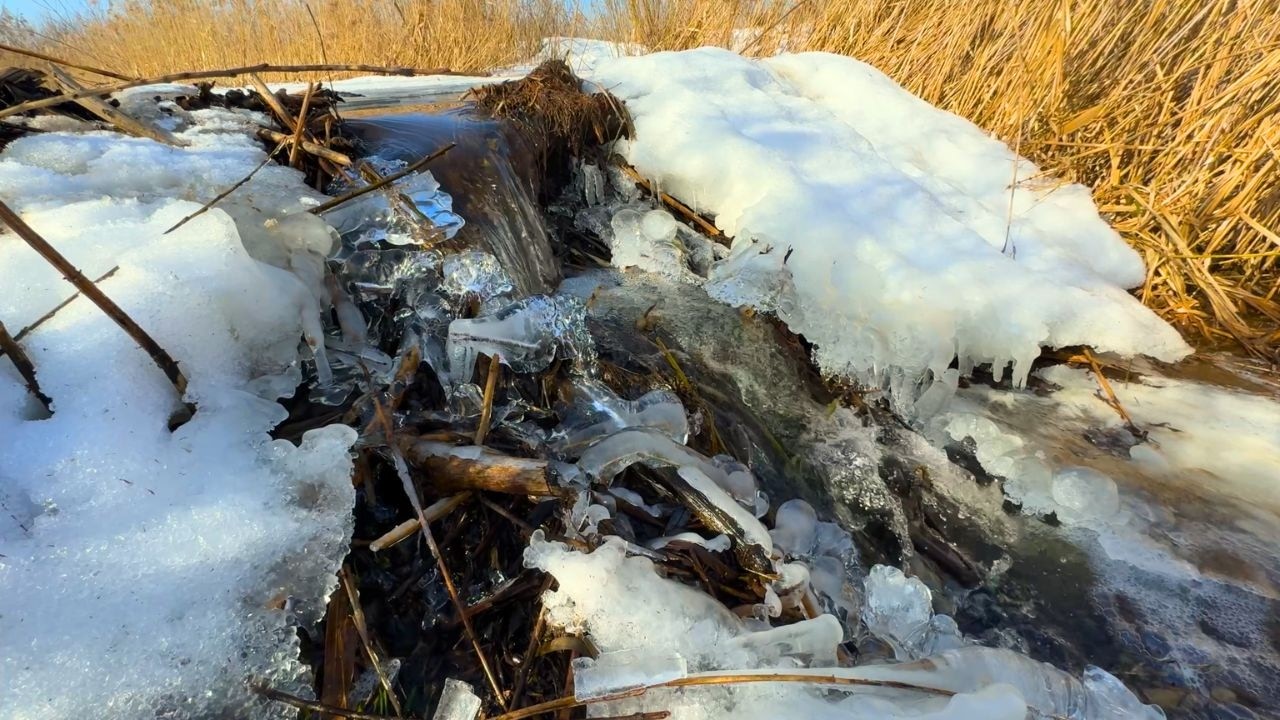 Icy Beaver Dam Demolition – Restoring the Channel in Winter