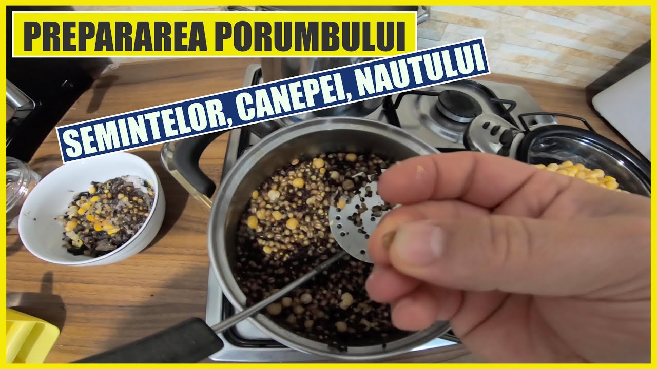 Prepararea porumbului, semințelor, cânepei și a năutului pentru pescuitul crapului
