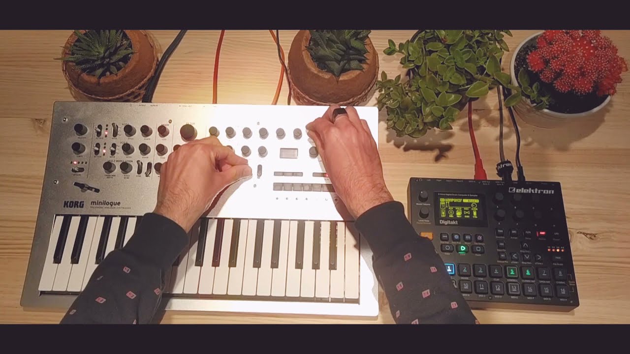 Elektron Digitakt live + Korg Minilogue - Wood Session 3