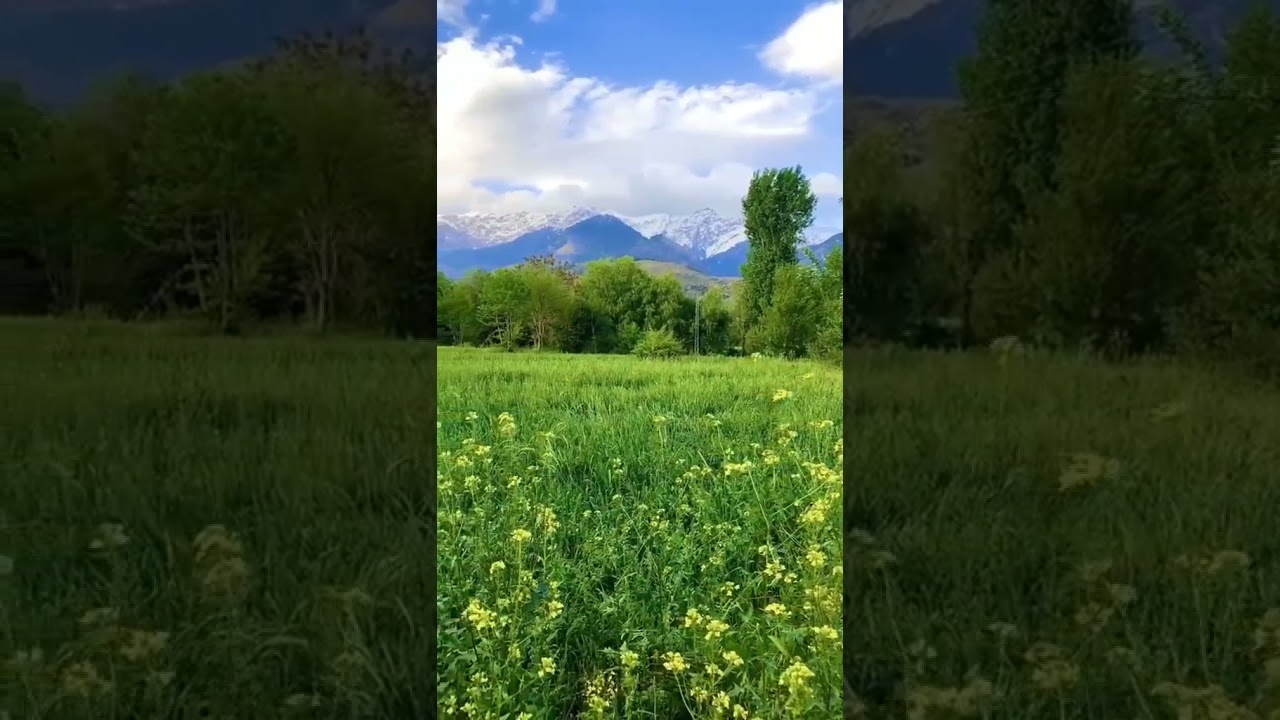 The beauty of Alizai distract lower kurram