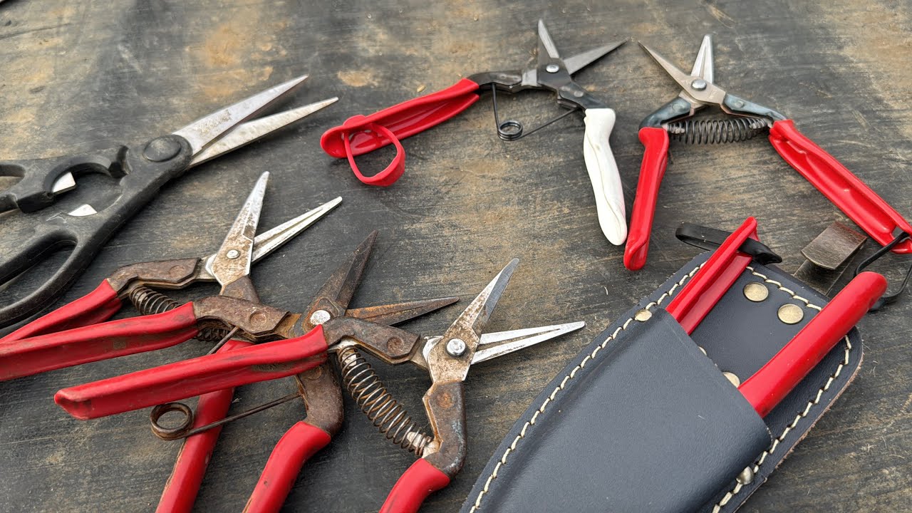 菜園作りが楽になる便利な園芸ハサミ・丈夫で長持ちする園芸アイテム　25/5/15