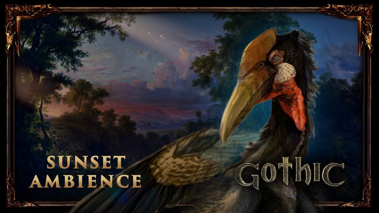 Peaceful Nature Ambience - Gothic 1 | Forest Sounds - Bird Song (No Music)