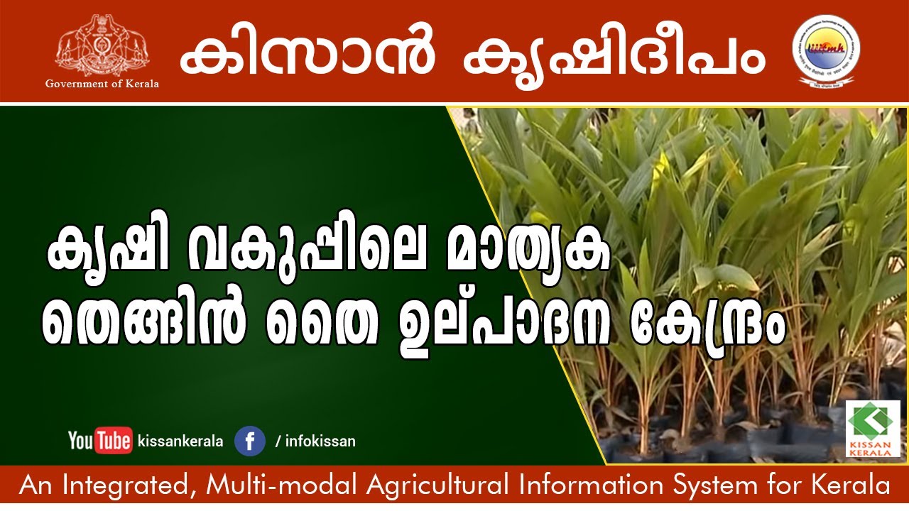 Documentary feature on Coconut Nursery, Department of Agriculture, Kazhakkuttam  episode- 631
