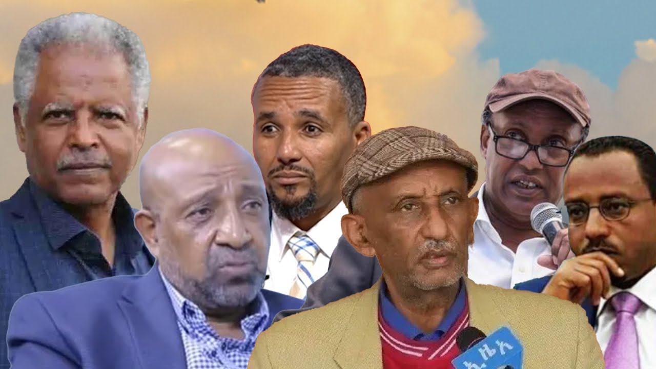 Anchor ''ብርሃኑ ነጋ የእናቱን ክትፎ እየበላና የኮሶ አረቄ እየጠጣ ቀሪ ዘመኑን መኖር መርጧል። ሌላ ነገር የለም። ኢትዮጵያ የምሁራን መካን ሆናለች''