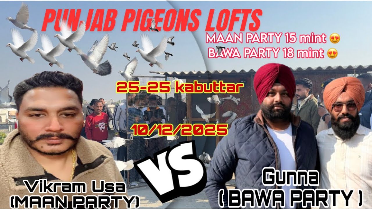 25-25 Kabutar Ka kabuttarbazi Mukabla In punjab Patiala || Ek Mukabla Na kar ditaa Dill khush 