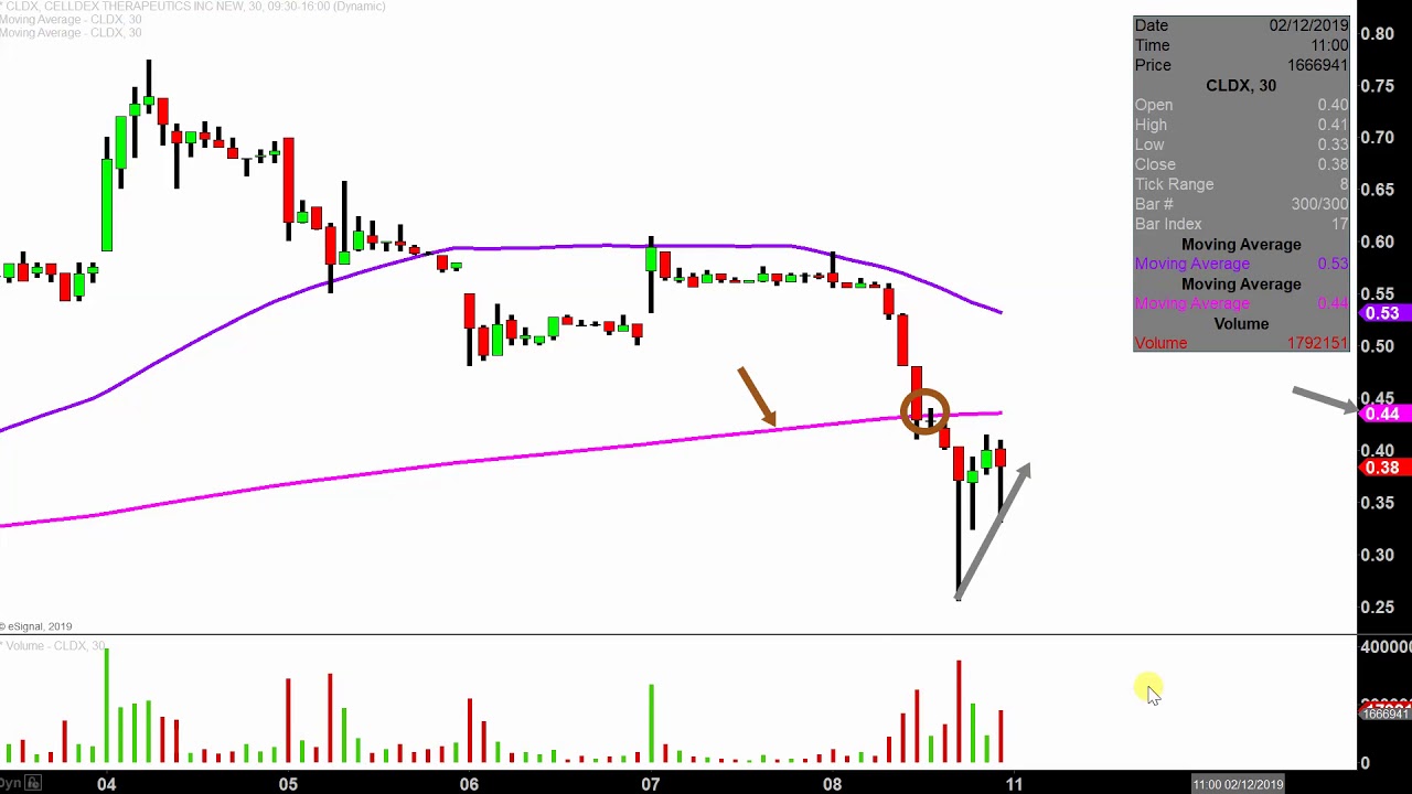 Celldex Therapeutics, Inc. - CLDX Stock Chart Technical Analysis for 02-08-2019