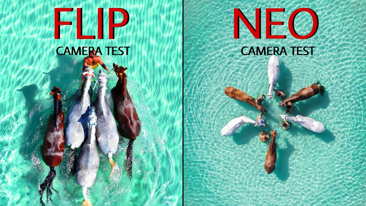 DJI FLIP VS DJI NEO | Camera Test