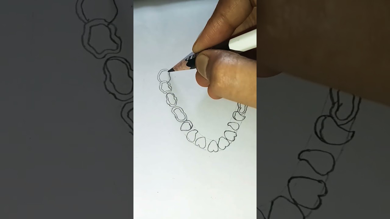 # How To Draw Different Type of ARRANGEMENT OF TEETH