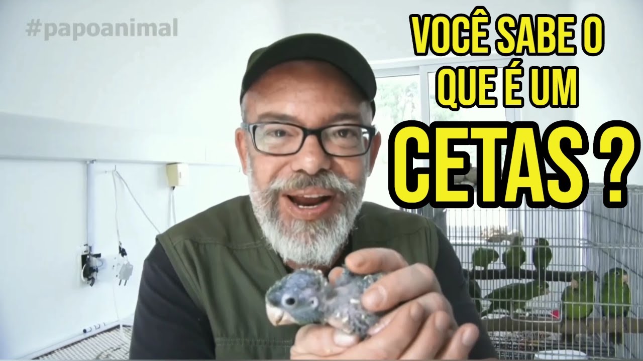 CETAS BARUERI