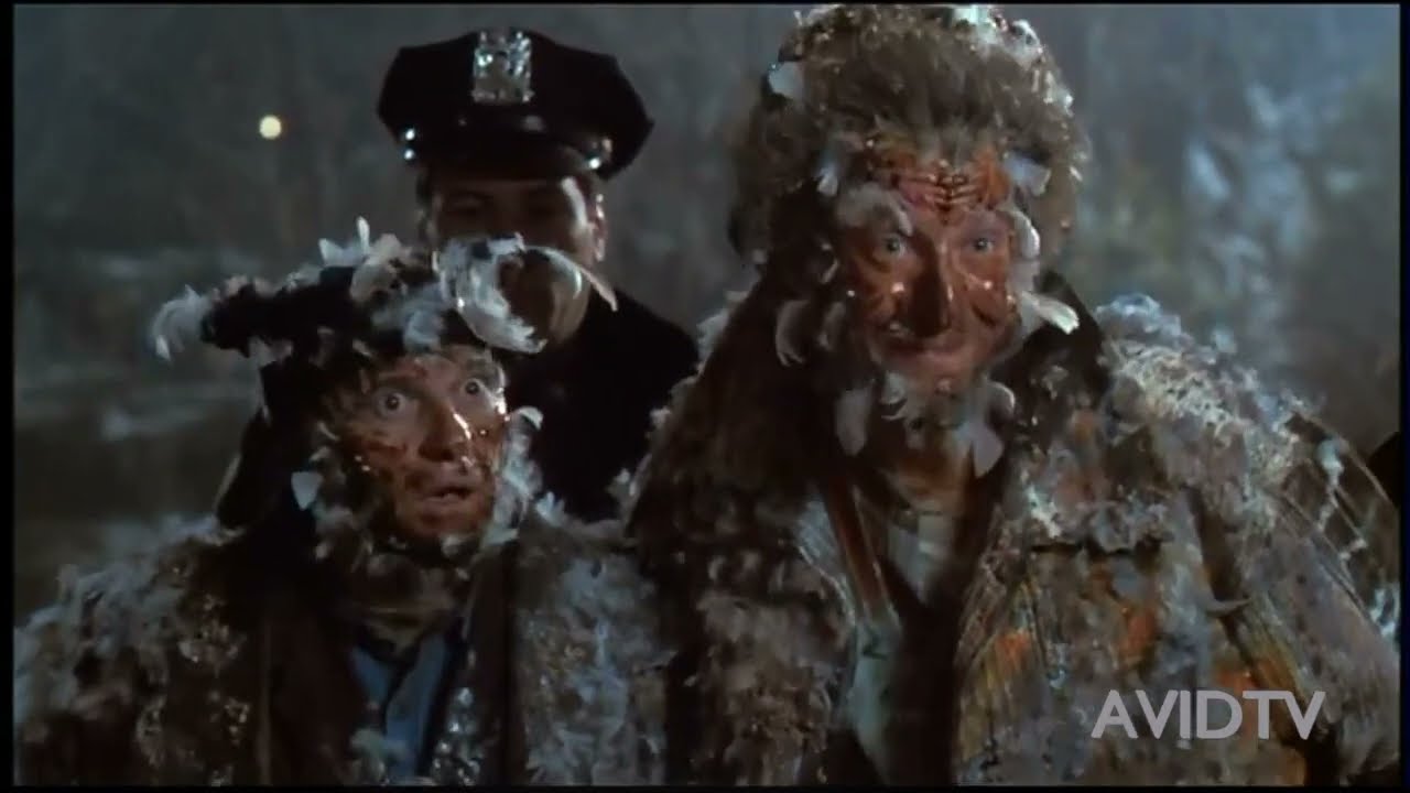THE WET AND STICKY BANDITS HOME ALONE #AVIDTV @AVIDTV123