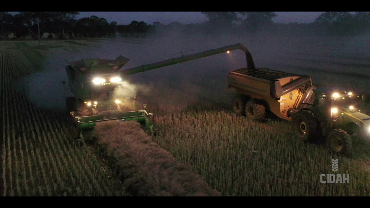 Agriculture Australia 2020