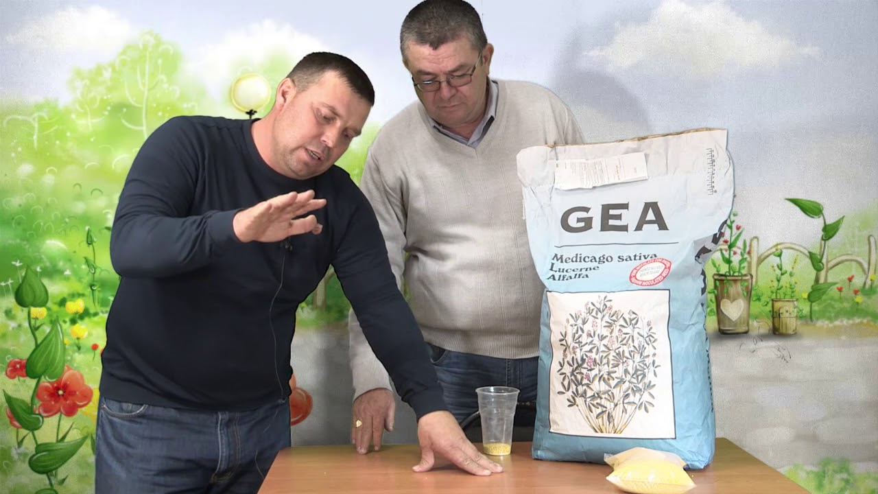 ЛЮЦЕРНА GEA.  Итог 2017. Рекомендации наших специалистов.