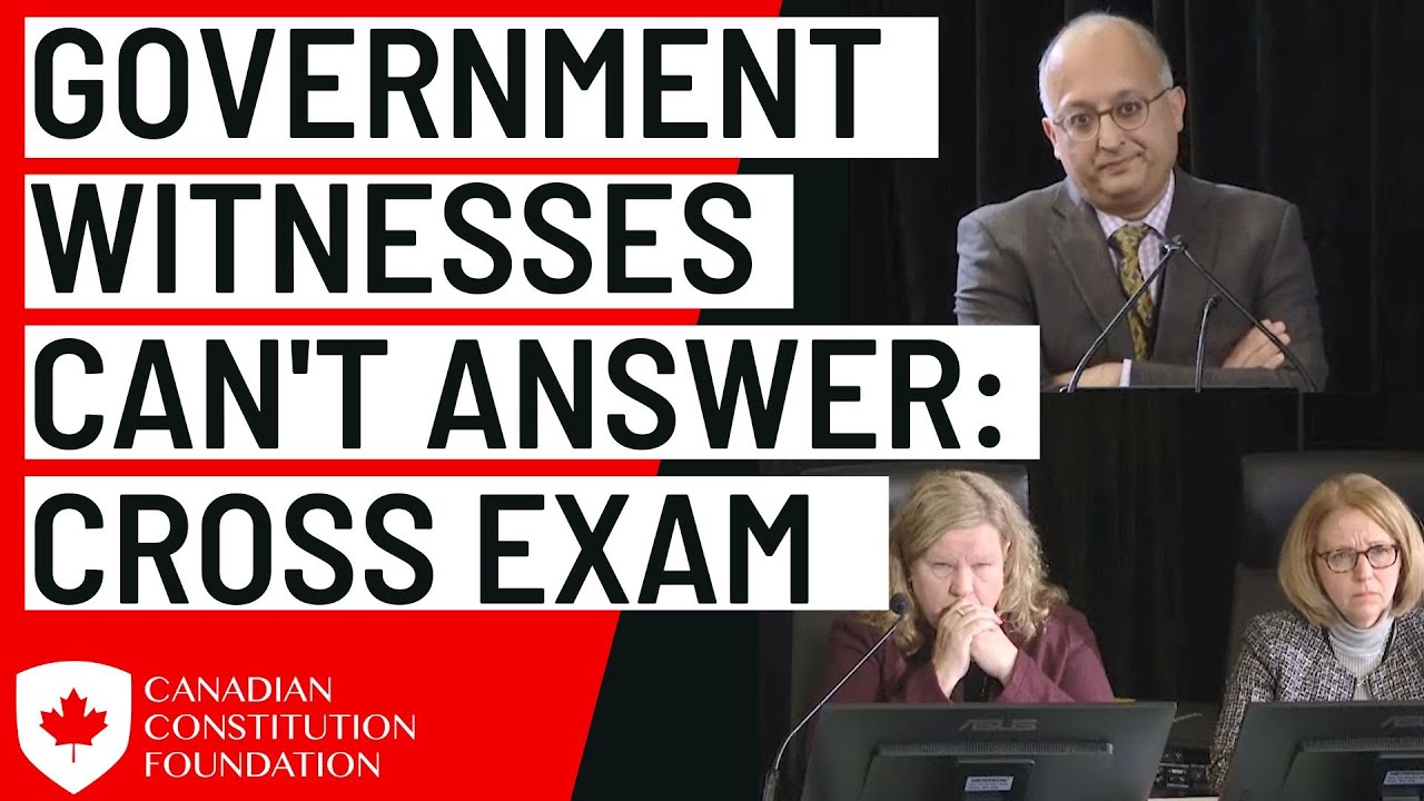 Did Cabinet know CSIS definition of national security threat wasnt met? Government witness can't say