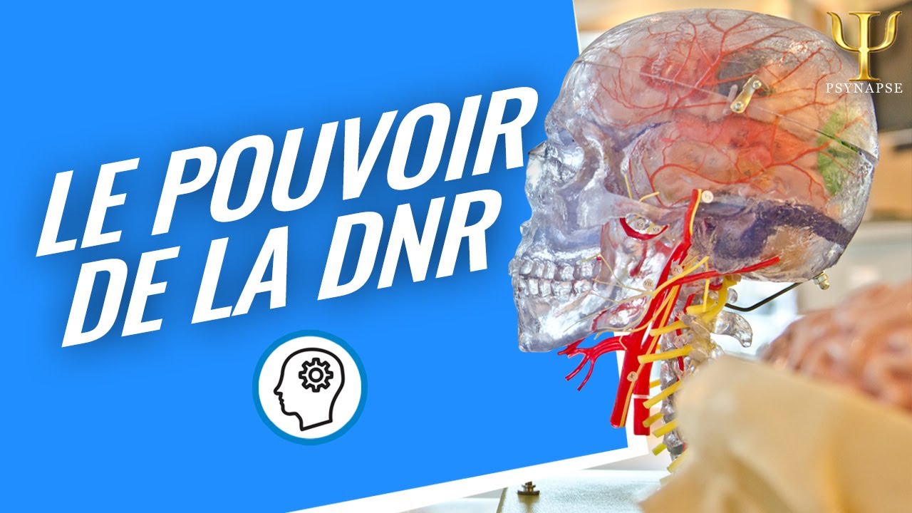 Formation DNR : reprogrammer le cerveau en quelques minutes - Deep Neural Repatterning