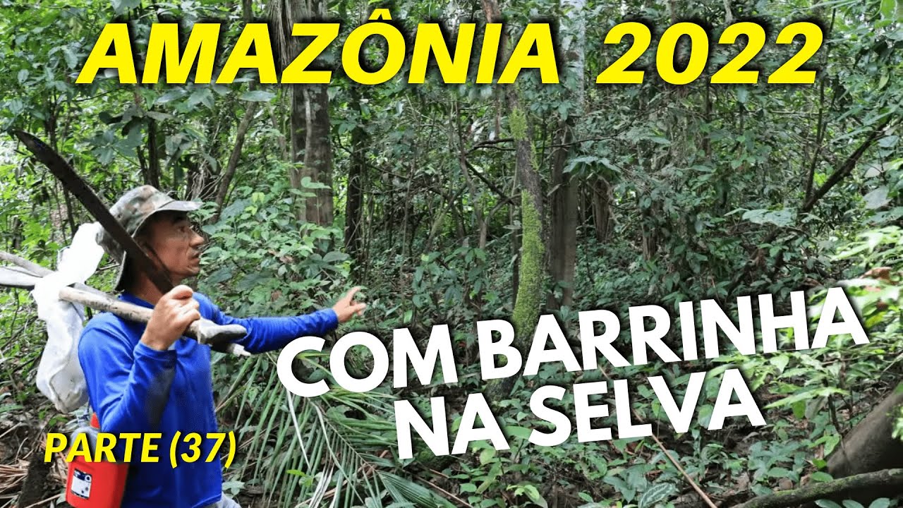 DE VOLTA À COMUNIDADE DA MANGUEIRA| T01 EP51