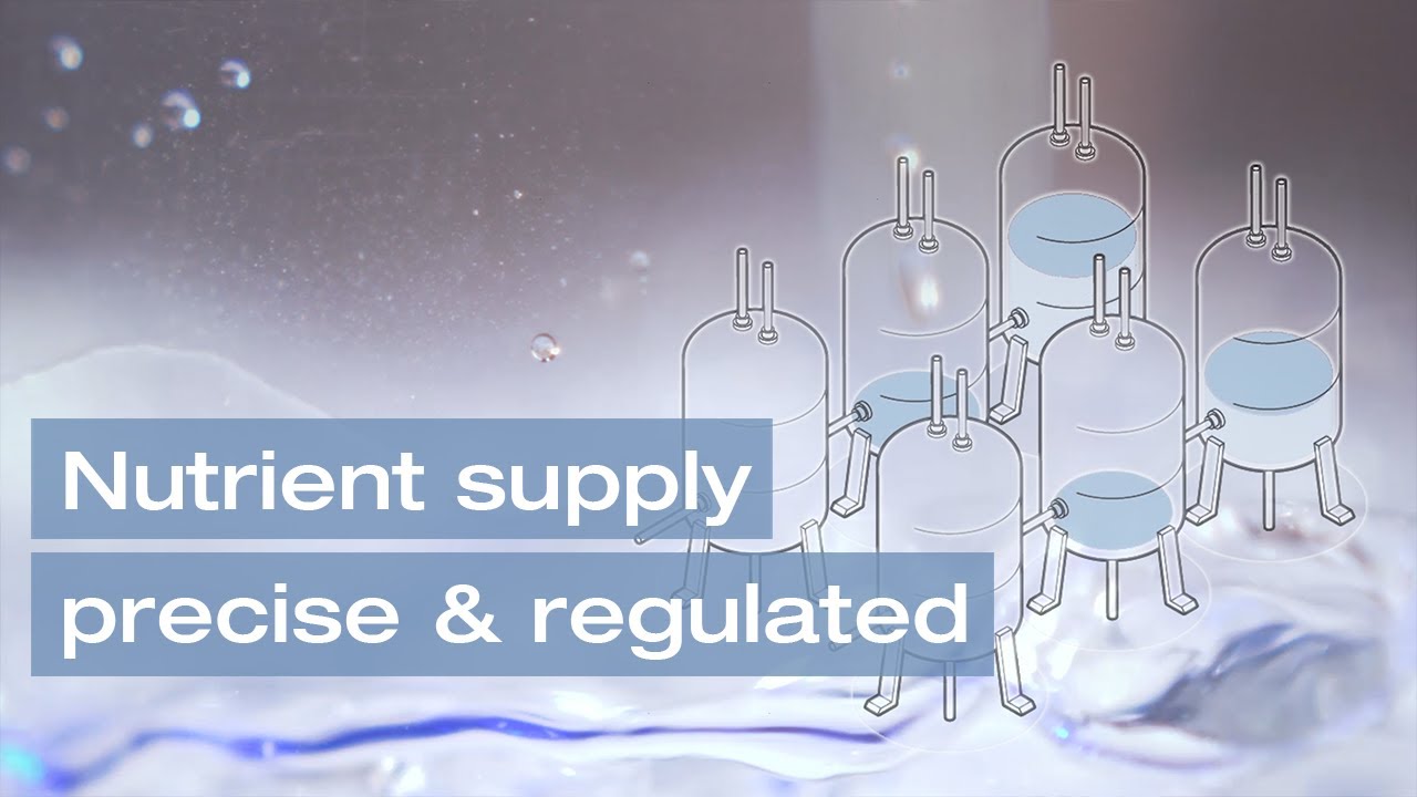 Nutrient supply: precise and regulated