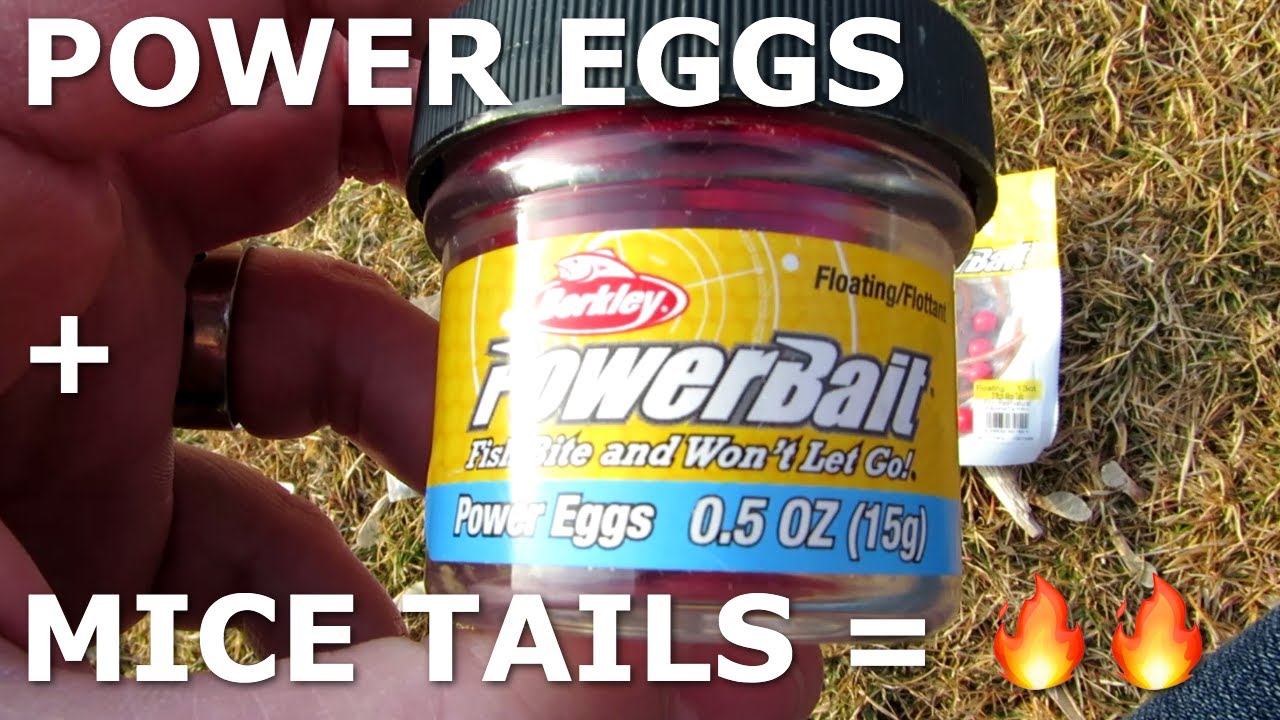 How to Use PowerBait Power Eggs + PowerBait Floating Mice Tails for Ultimate Trout Bait