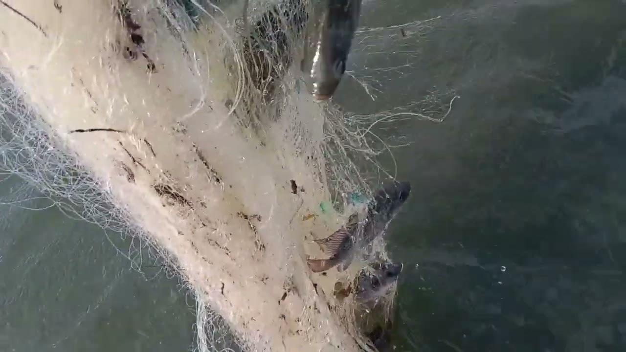 ANG KAHULI- HULIHAN KONG PANGANGALAT NG PANTE