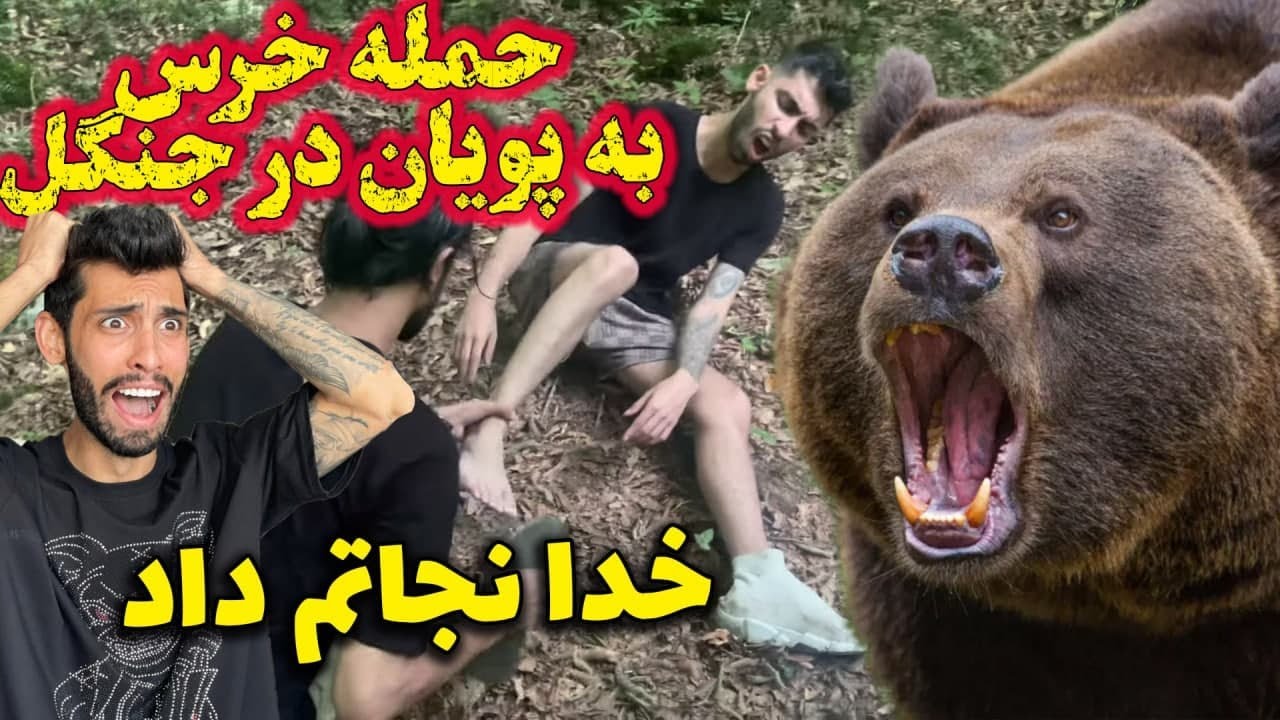 حمله خرس به پویان در جنگل😱😱 خدا نجاتم داد