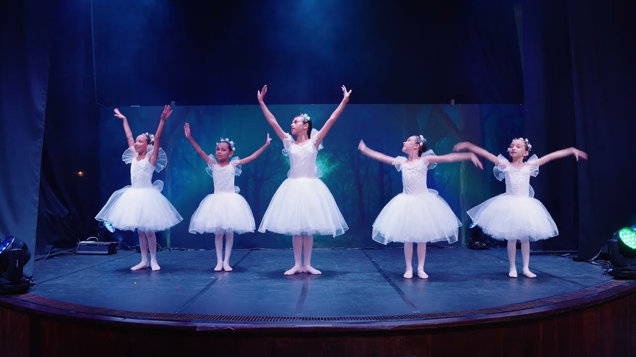 Ballet Pro Arte - Márcia Eloy - 2025