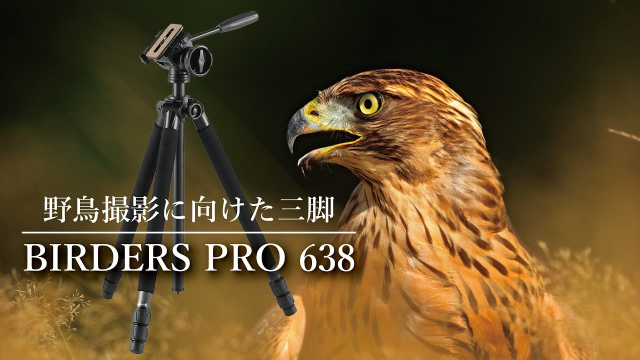野鳥撮影にこの一台「バーダーズプロ638」