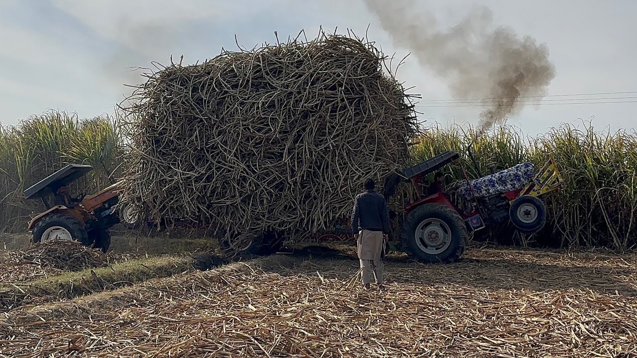 آج ٹریکٹر پھنسنے والا تھا بہت مشکل سے نکلا ہے۔Tractor was stuck in the mud 500 wazan.