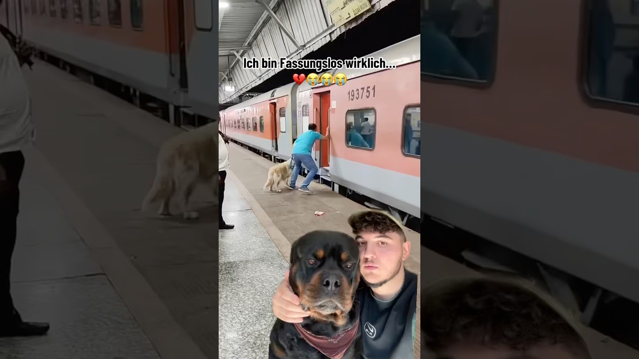 Oszołomiony 😭😭💔
