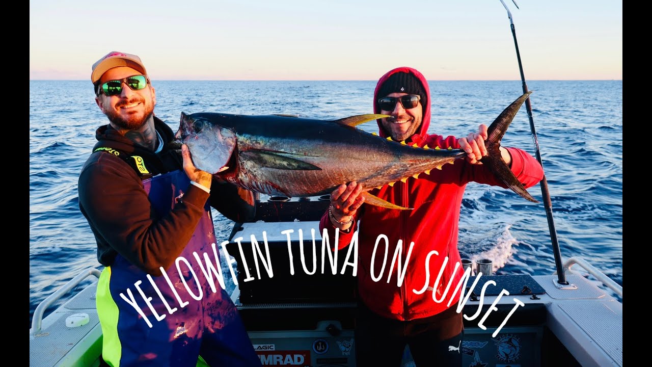 YELLOWFIN TUNA ON SUNSET
