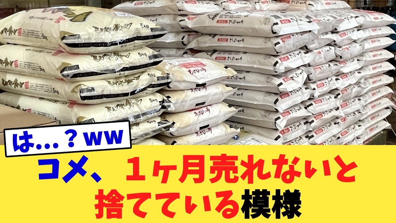 コメ、１ヶ月売れないと捨てている模様