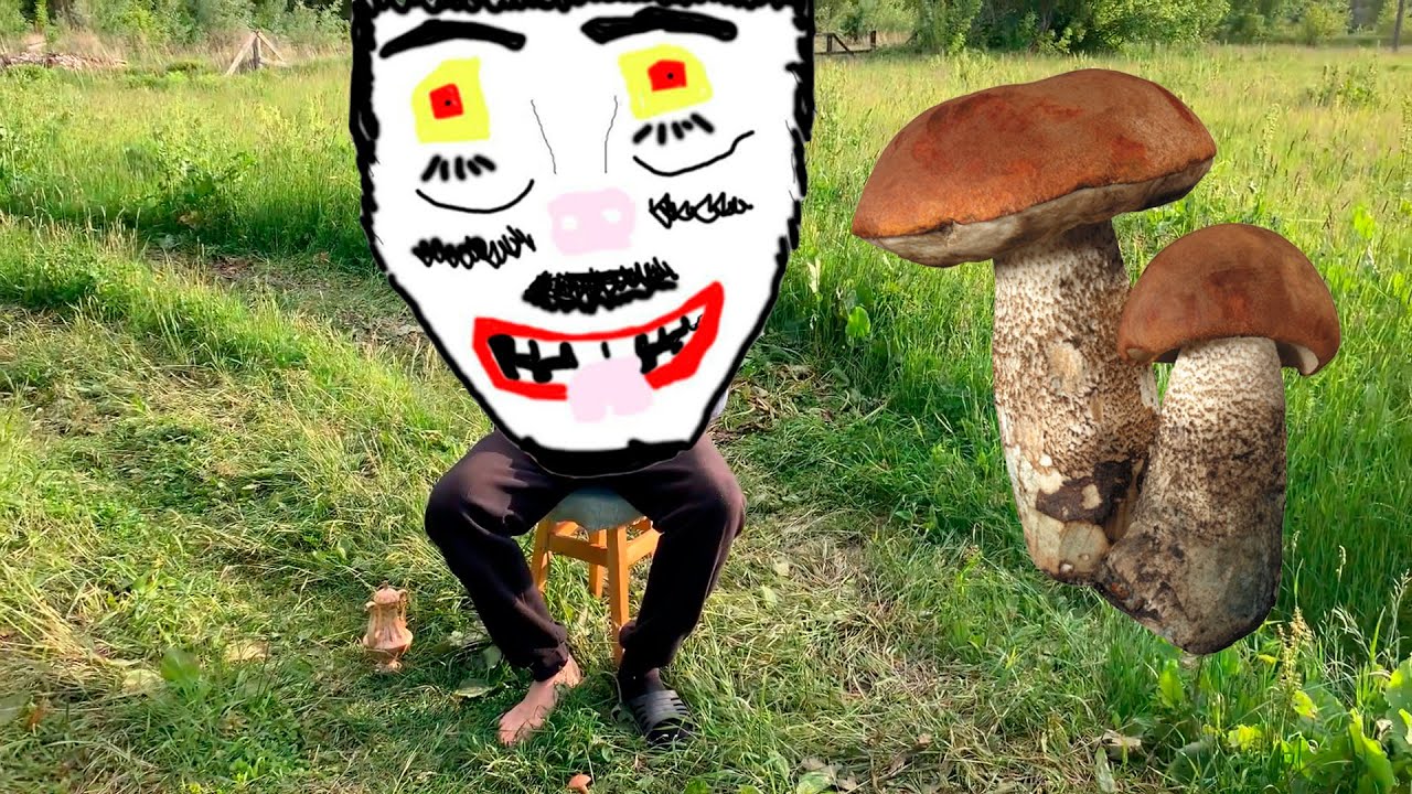 MUSHROOMS / arthouse / funny video / BOCH