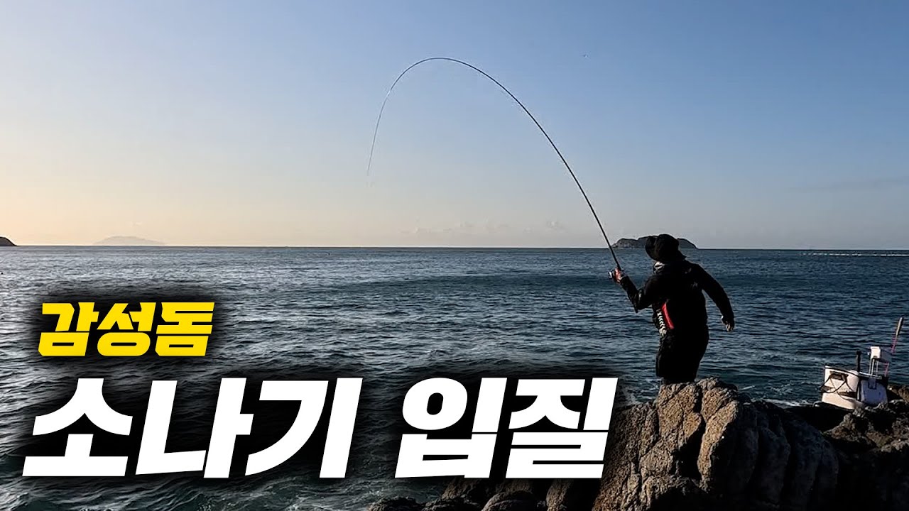 드디어 본격적인 시작, 대모도 감성돔 소나기 입질순간 #감성돔낚시