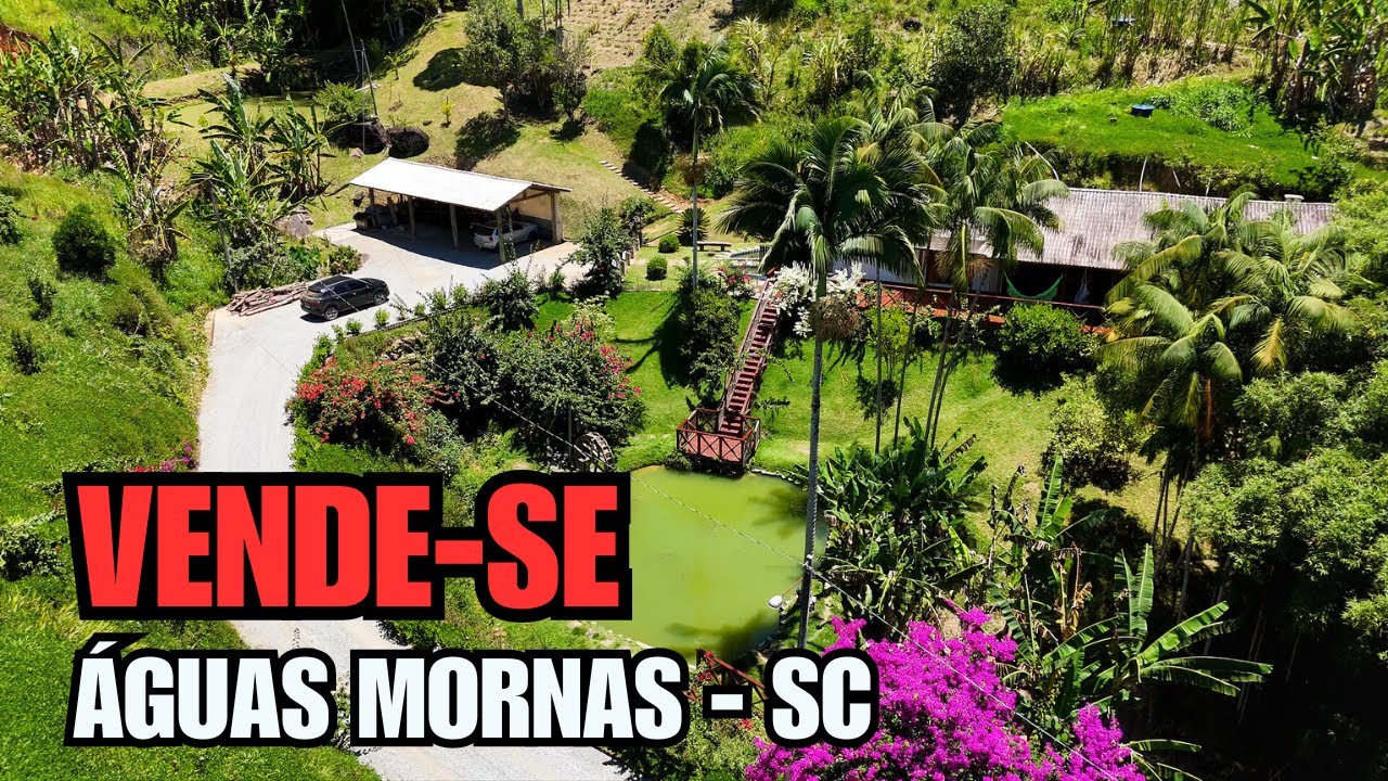 CHÁCARA EM ÁGUAS MORNAS SC RICA EM ÁGUA | NASCENTES | AÇUDES | MADEIRAMENTO NOBRE | 3 HECTARES