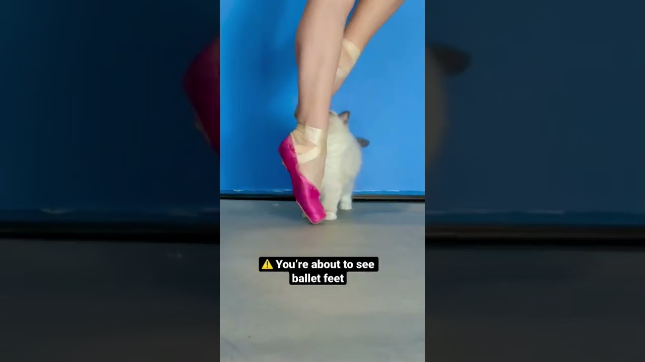 Ballerina toes on pointe 🩰 #ballet #pointeshoes #ballerina #dancelife #danceclass #howitworks