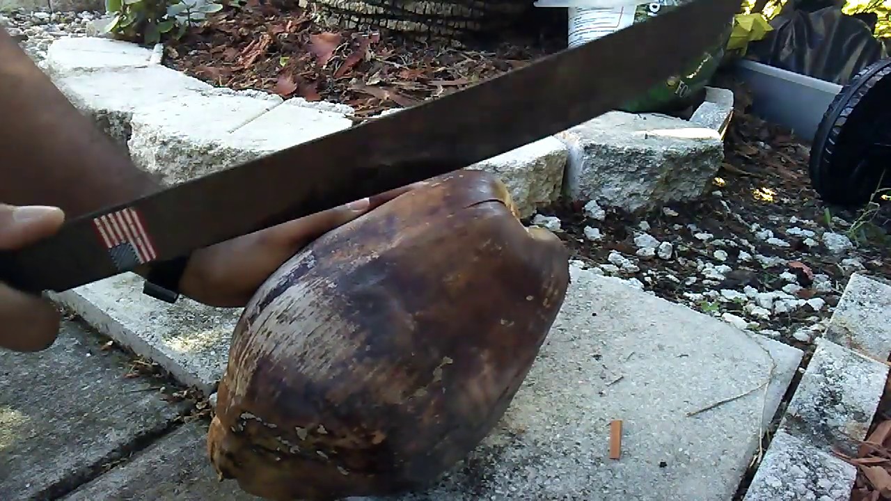 How To Chop A Dry Coconut