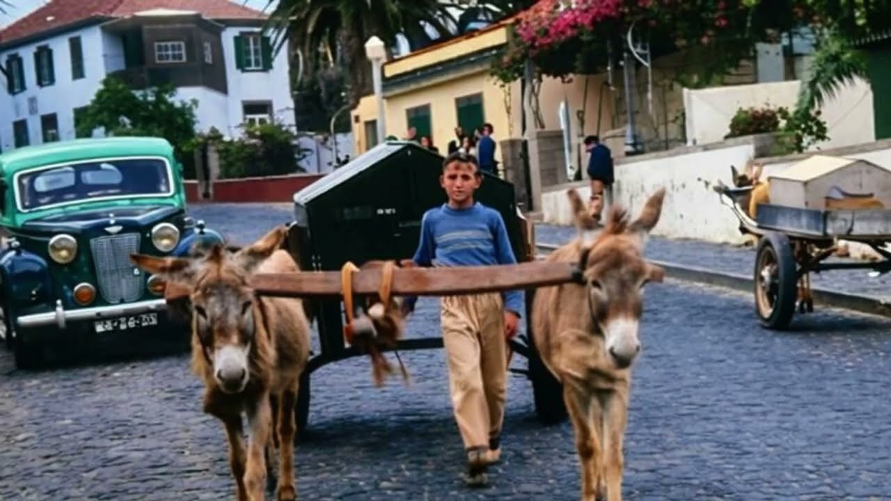 Traveling Through Time The Evolution of Taxis in Portugal