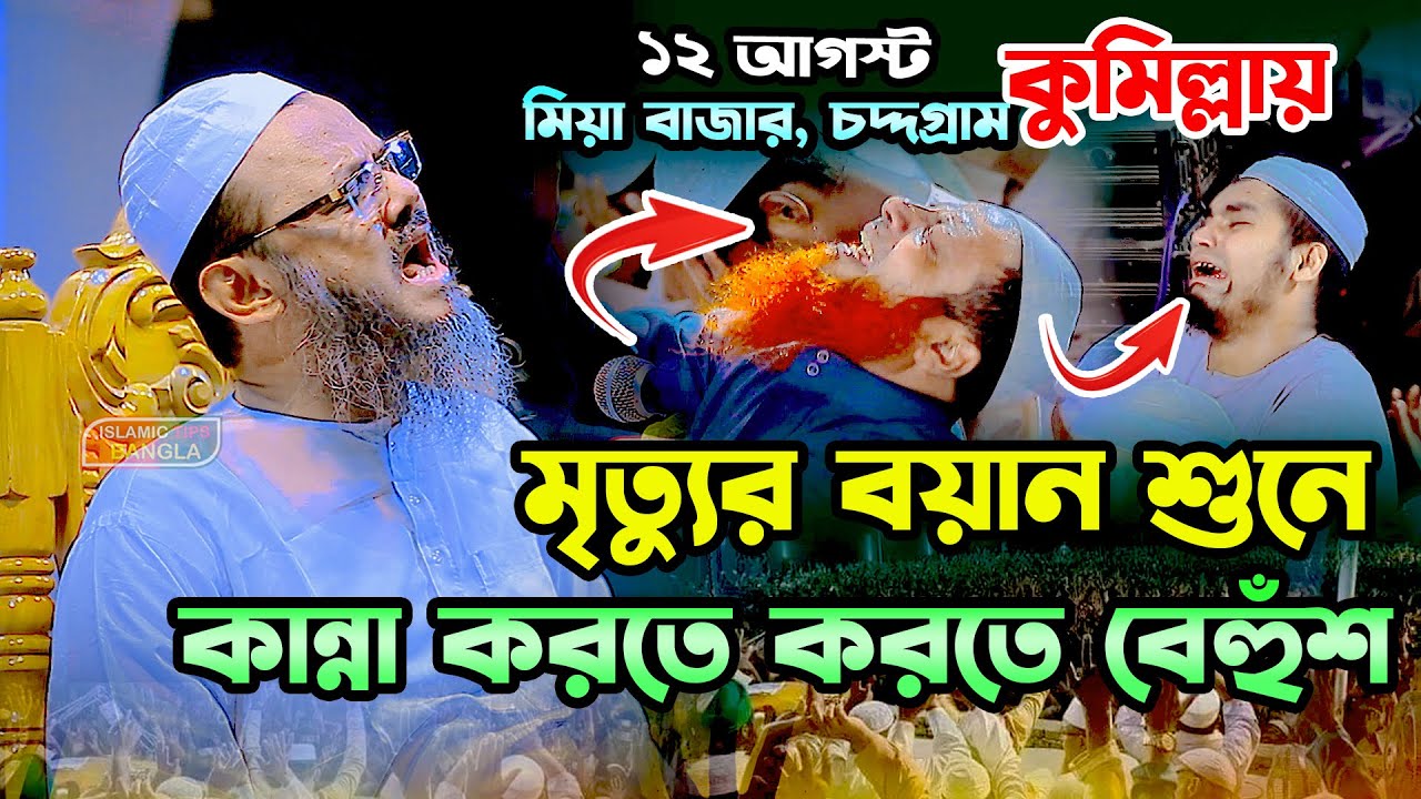 মৃ*ত্যুর বয়ান শুনে কুমিল্লায় কান্নার ইতিহাস । মুফতি ফয়জুল করিম চরমোনাই । ইসলামিক টিপস বাংলা