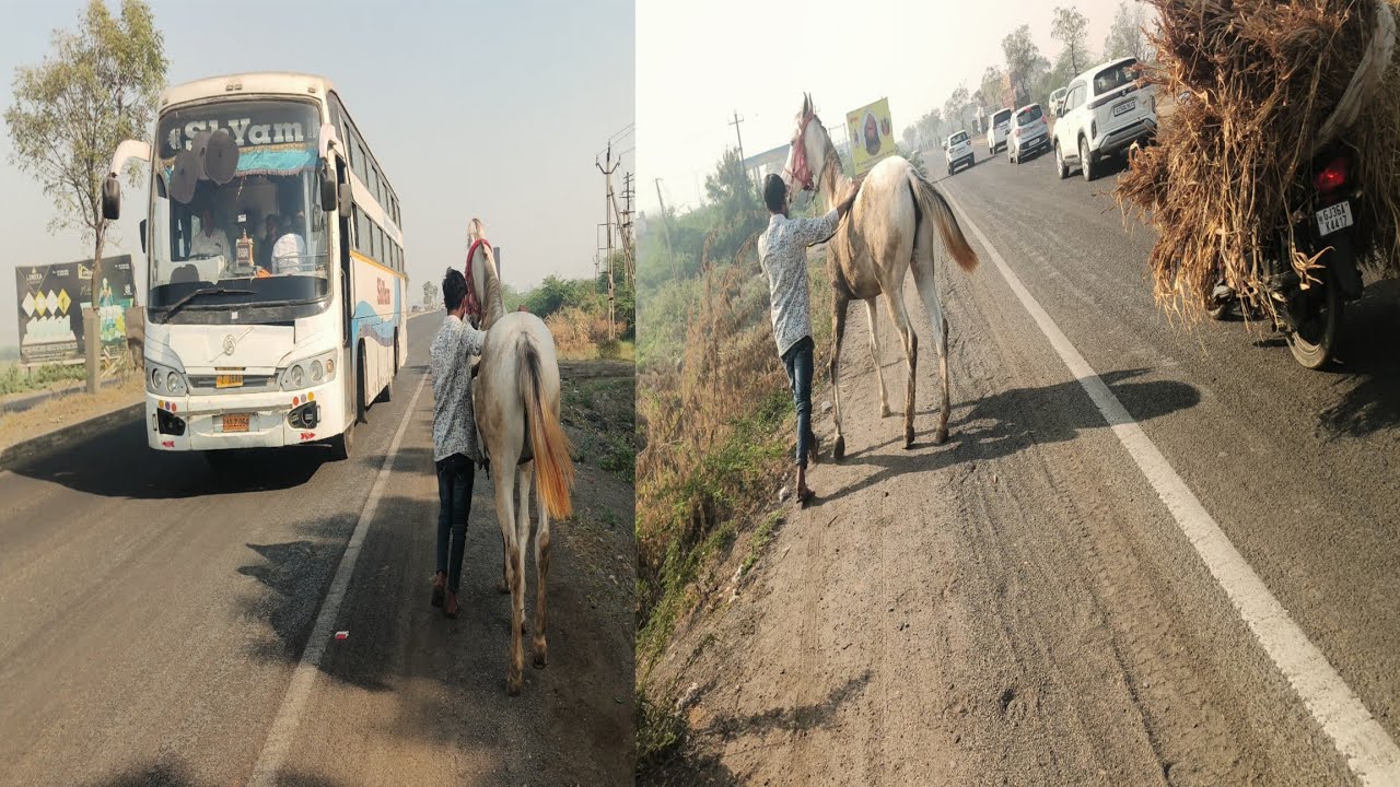 Vacheri ne pehli var High way par lay giya