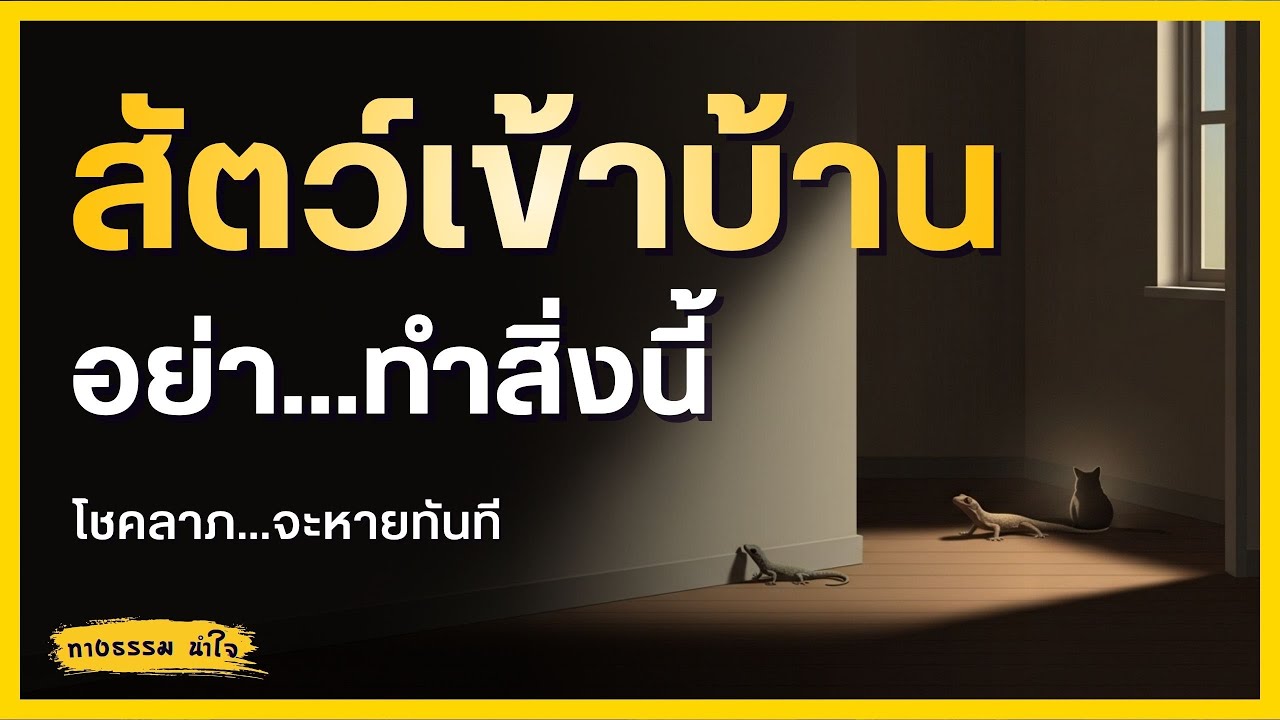 ถ้าสัตว์เข้าบ้านแล้วทำแบบนี้... คนโบราณเขาถือ (วิธีพูดรับโชค เปลี่ยนตัวซวยให้เป็นตัวเฮง)