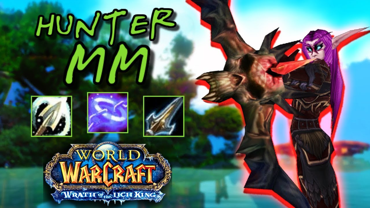 MM Hunter PvP +2700 - Wotlk Classic
