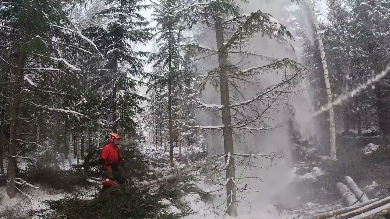 Todella huonolaatuinen kuvio. Mitä itse tekisit?