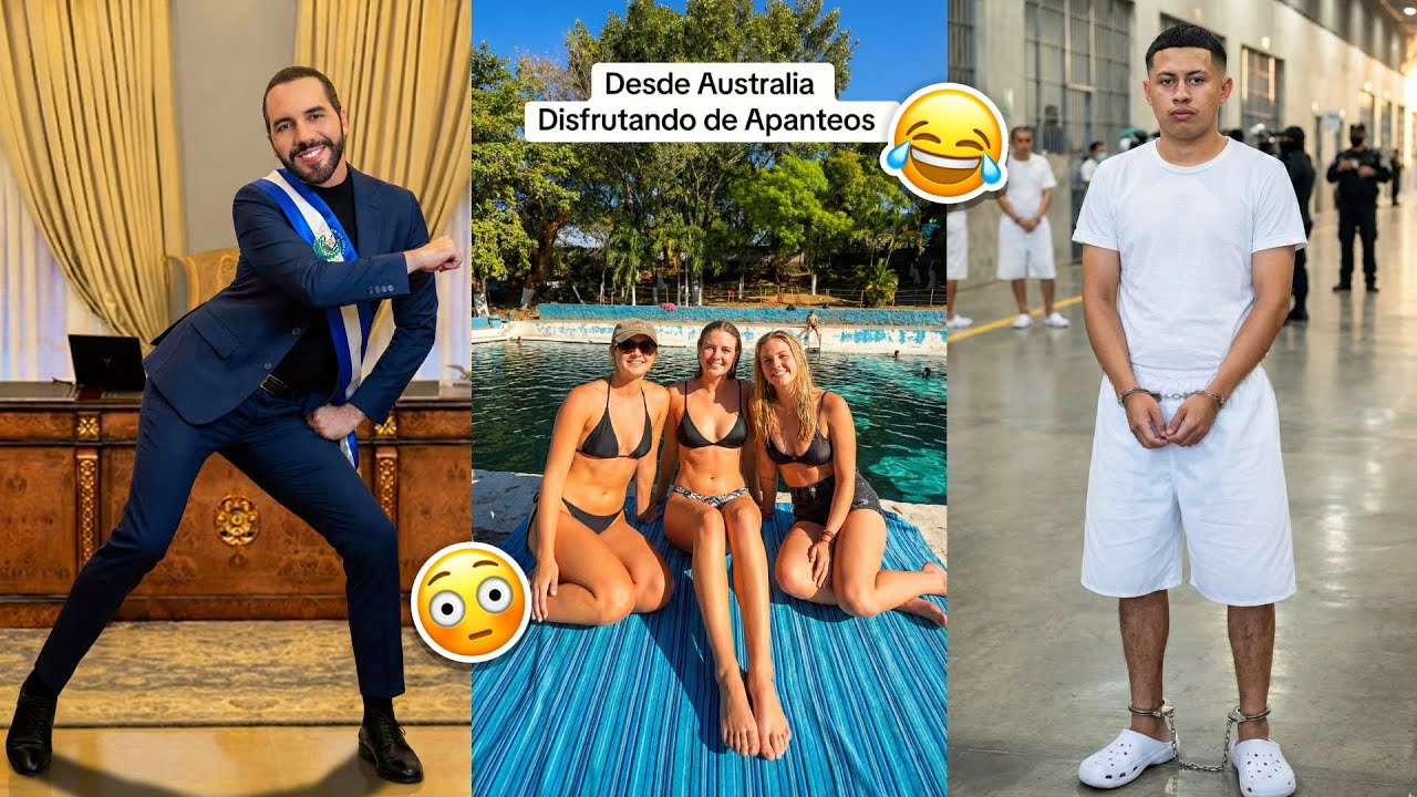 😂 Baby Meshi se IRÁ PRESO? 😱 Los MEJORES Videos VIRALES de TikTok El Salvador 🇸🇻