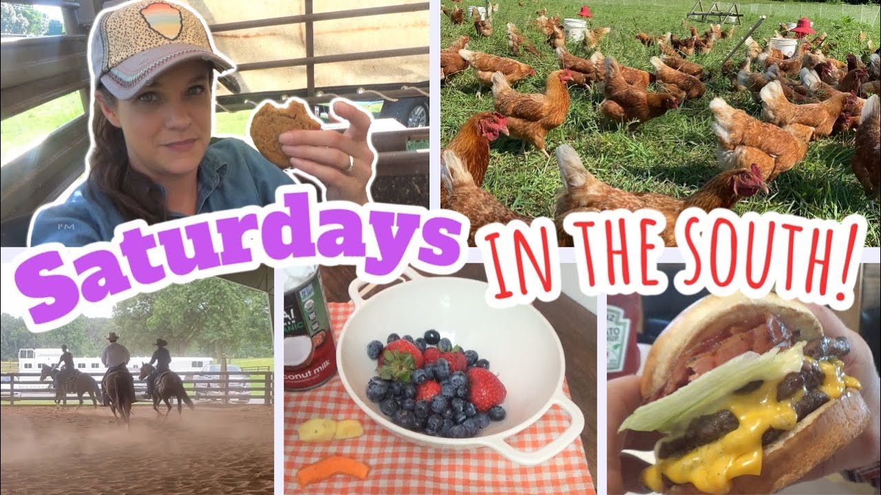 Y'all asked for it... 😆 A Southern Saturday with the Boys! | Weekend VLOG