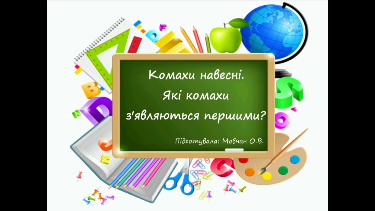 Комахи навесні. Які комахи навесні з'являються першими