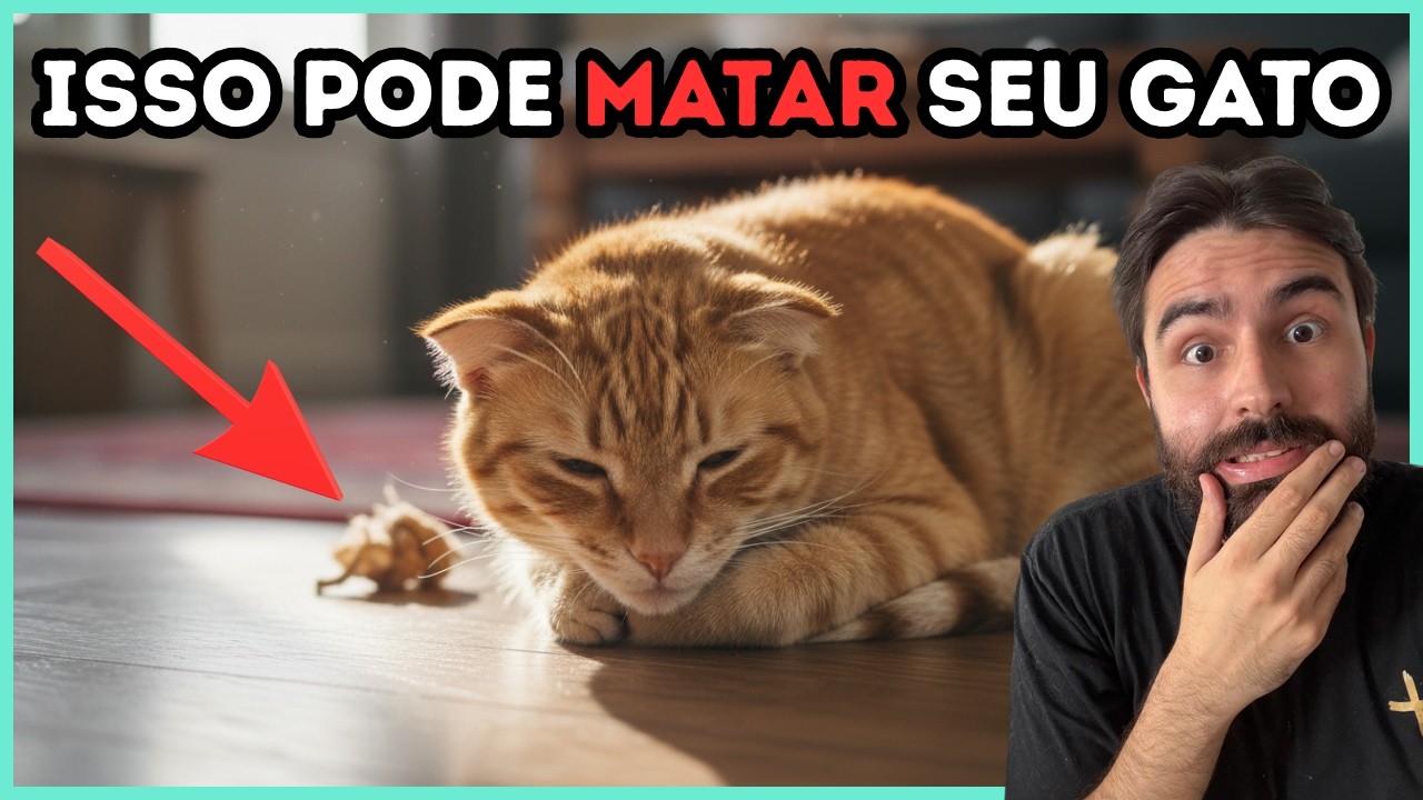 Gatos de Apartamento Estão MORRENDO Por Causa Deste ÚNICO ERRO!